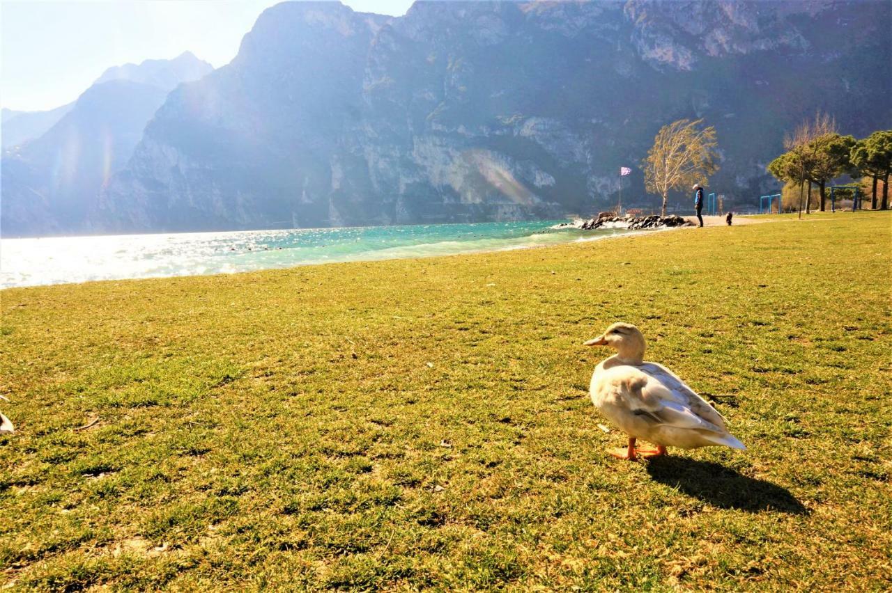 Apartment Brione Riva del Garda Buitenkant foto