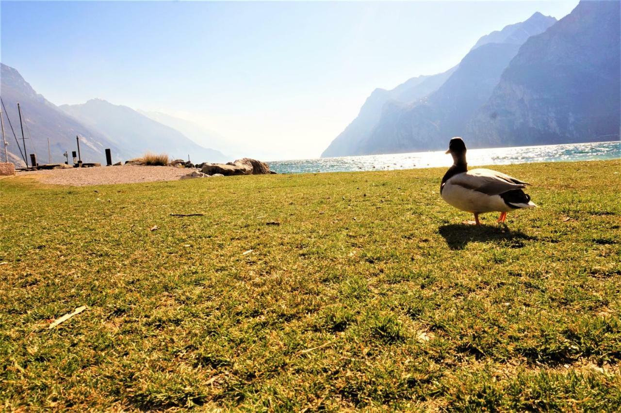 Apartment Brione Riva del Garda Buitenkant foto
